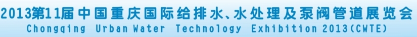 2013第十一屆重慶國際給排水、水處理設(shè)備及泵閥管道展覽會